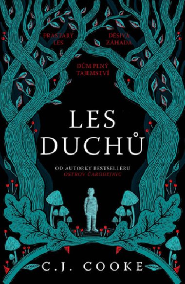 Les duch - Carolyn Jess Cooke