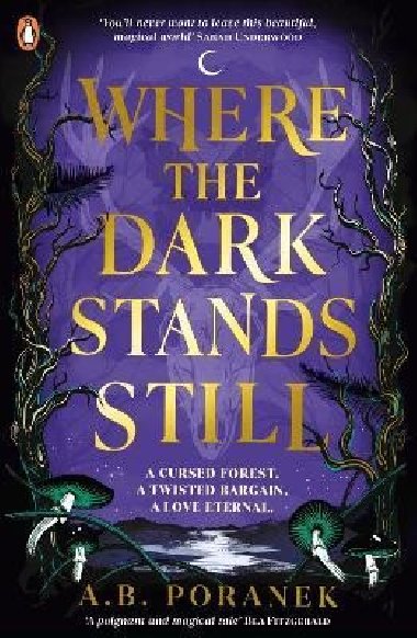 Where the Dark Stands Still - Poranek A. B.
