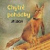 Chytré pohádky pro malé rozumbrady - Jiří Žáček