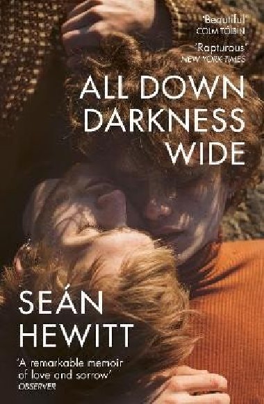 All Down Darkness Wide - Hewitt Sean