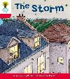 Oxford Reading Tree: Level 4: Stories: The Storm - Hunt Roderick