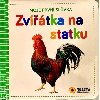 Moje prvn slvka Zvtka na statku - neuveden