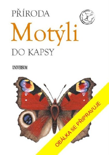 Proda do kapsy: Motli - neuveden