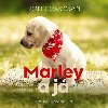 Marley a j - John Grogan