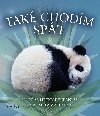 Tak chodm spt - Pinnington Andrea, Buckingham Caz