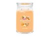 YANKEE CANDLE Mango Ice Cream svka 567g / 5 knot (Signature velk) - neuveden