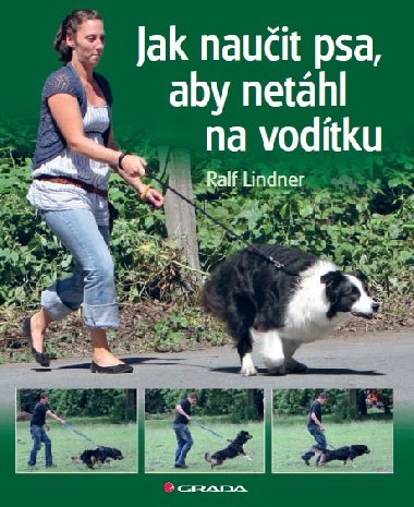 Jak nauit psa, aby nethl na vodtku - Ralf Lindner 