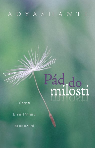 Pd do milosti - Adyashanti 