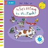 Whos Hiding in the Park?: A Felt Flaps Book - Scheffler Axel