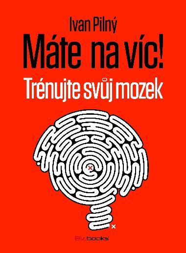 Mte na vc! Trnujte svj mozek - Ivan Piln 