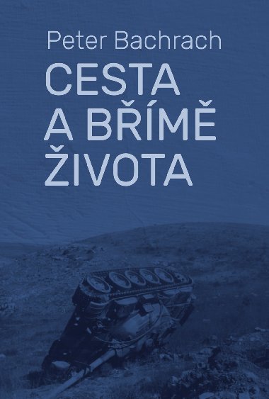 Cesta a bm ivota - Peter Bachrach 