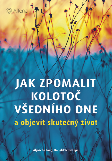 Jak zpomalit koloto vednho dne - Ronald Schweppe , Ronald Schweppe Aljoscha Long 