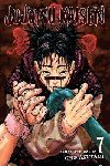 Jujutsu Kaisen 7 - Akutami Gege