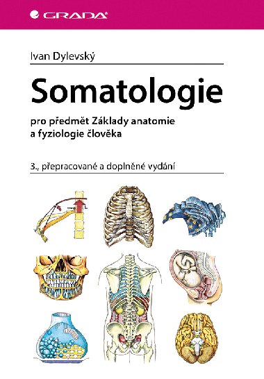 Somatologie - Ivan Dylevsk 