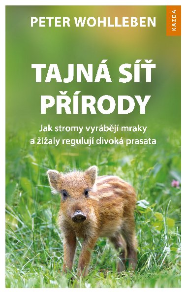 Tajná síť přírody - Peter Wohlleben 