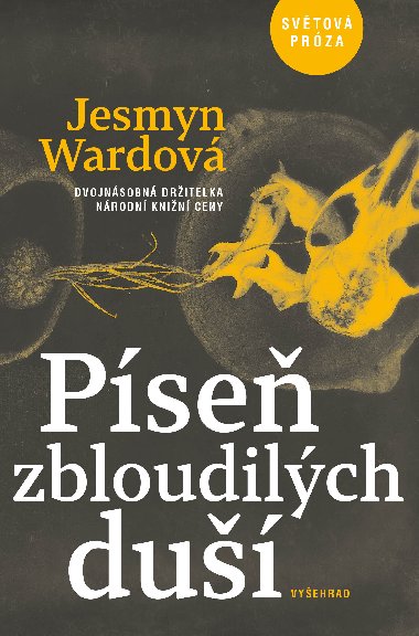 Pse zbloudilch du - Jesmyn Wardov 