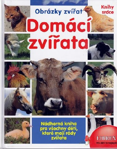 Domc zvata - 