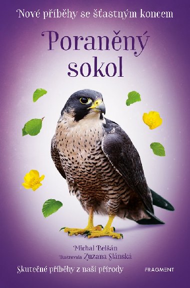 Nové příběhy se šťastným koncem - Poraněný sokol - Michal Belšán 