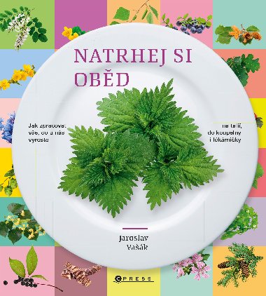 Natrhej si obd - Jaroslav Vak 