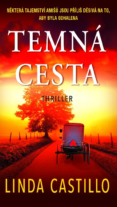 Temn cesta - Linda Castillo 