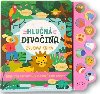 Hlun divoina - Zvukov kniha - Svojtka