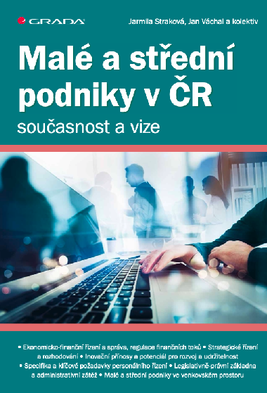 Mal a stedn podniky v R - souasnost a vize - Jarmila Strakov 