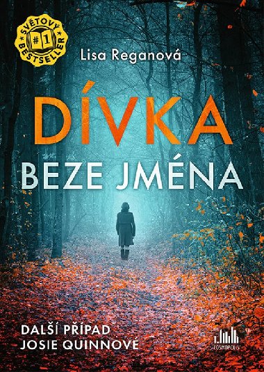 Dívka beze jména - Lisa Reganová 