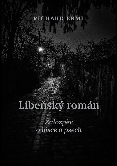 Libesk romn - Richard Erml 