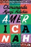 Americanah - Ngozi Adichie Chimamanda
