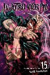 Jujutsu Kaisen 15 - Akutami Gege