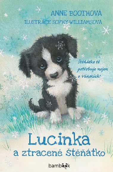 Lucinka a ztracen ttko - Anne Boothov 