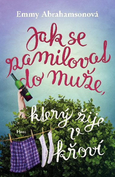 Jak se zamilovat do mue, kter ije v kov - Emmy Abrahamsonov 