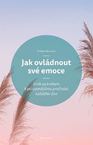 Jak ovládnout své emoce - Thibaut Meurisse 