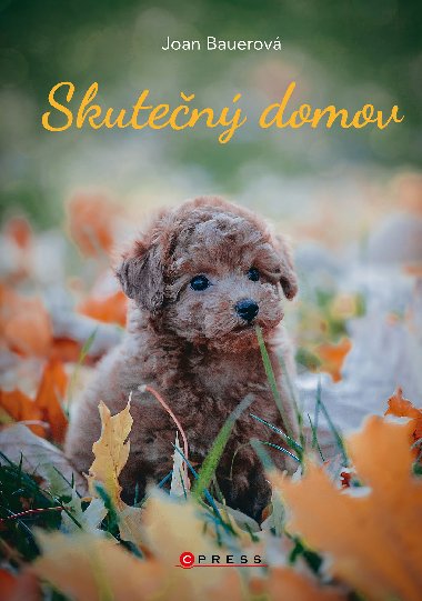 Skuten domov - Joan Bauerov 