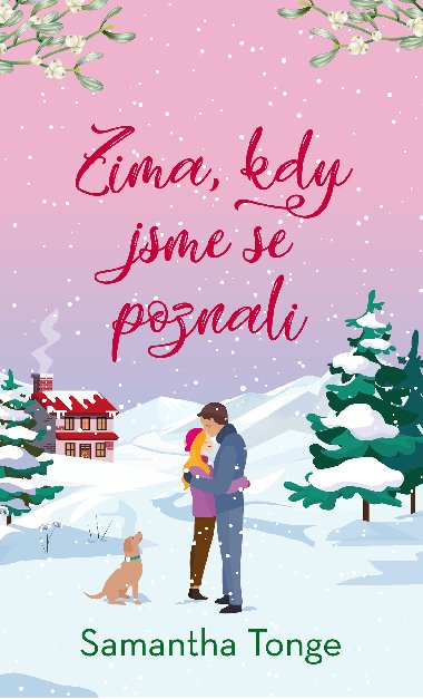 Zima, kdy jsme se poznali - Samantha Tonge 