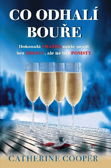 Co odhal boue - Catherine Cooper 