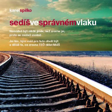 Sed ve sprvnm vlaku - Karel Spilko 