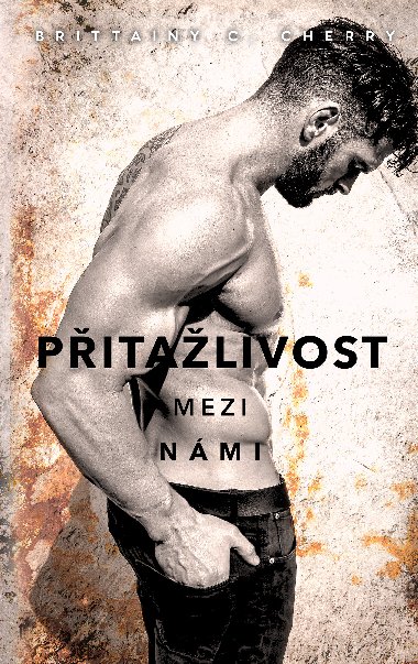 Pitalivost mezi nmi - Brittainy C. Cherry 