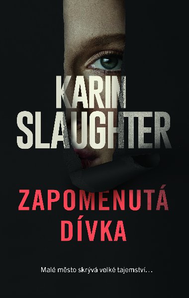 Zapomenut dvka - Karin Slaughter 