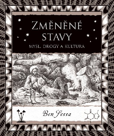 Zmnn stavy - Ben Sessa 