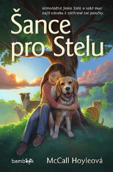 ance pro Stelu - McCall Hoyleov 