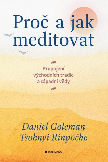 Pro a jak meditovat - Daniel Goleman , Daniel Goleman Tsoknyi Rinpohe 