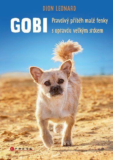 Gobi - Dion Leonard 