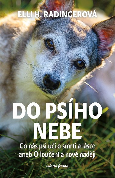 Do psího nebe - Elli H. Radingerová 