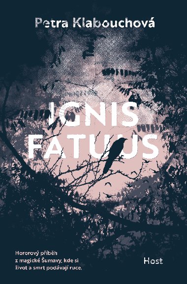 Ignis fatuus - Petra Klabouchová 