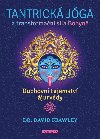 Tantrická jóga a transformacní síla Bohyne - Duchovní tajemství ájurvédy - David Frawley