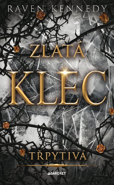 Třpytivá - Raven Kennedy 