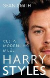 Harry Styles - Cesta modernho mue - Sean Smith