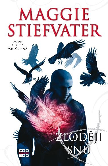 Zloději snů - Maggie Stiefvater 