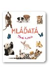 Mlat - 
